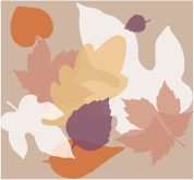 Motif2